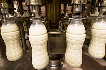 哪些食品廠需要做無菌凈化車間？